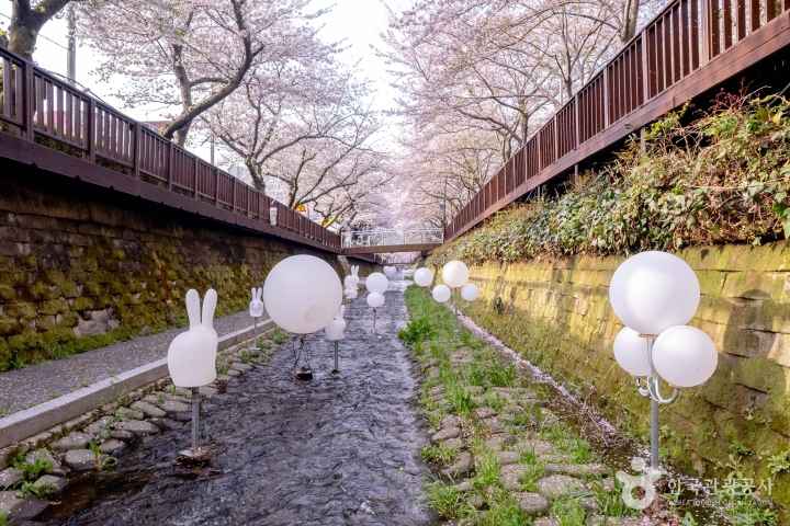 2024 진해군항제