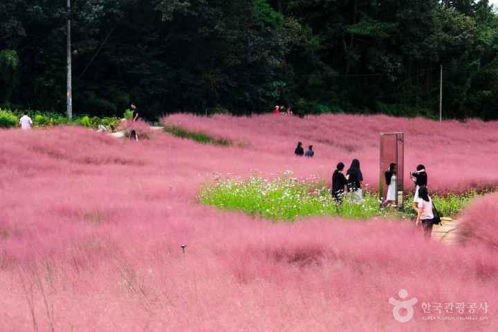 Gochang Blue Farm
