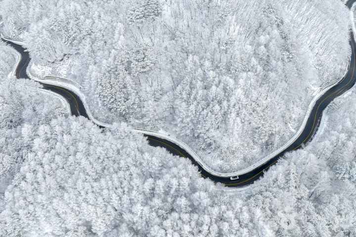 Journey Through a Snowy Realm