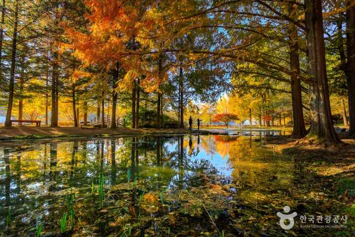 낙강물길공원의 가을