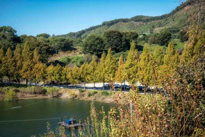 수생식물학습원