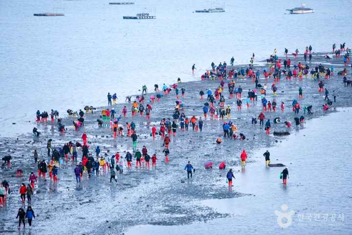 진도 신비의 바닷길 축제