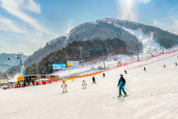 용평스키장(용평리조트)