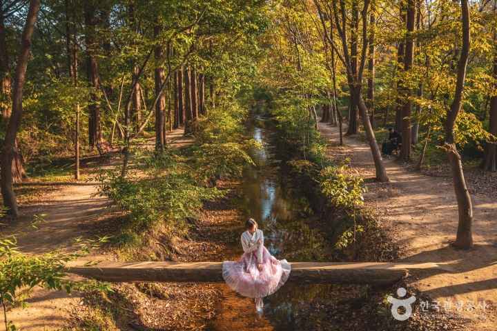 Gyeongbuk Millennium Forest Garden