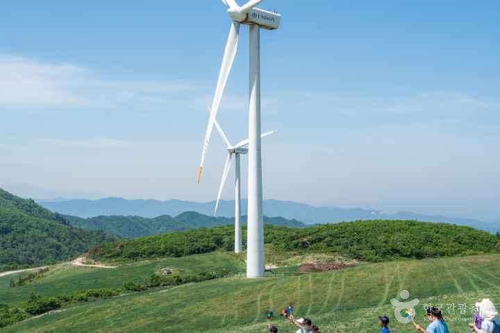 Samyang Roundhill