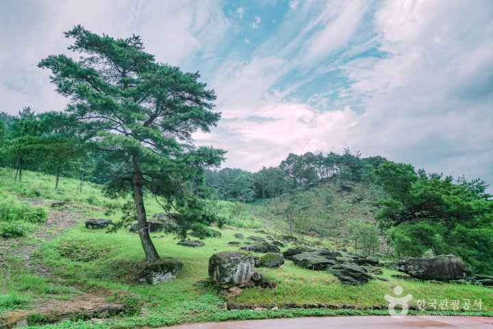화순 고인돌 유적지
