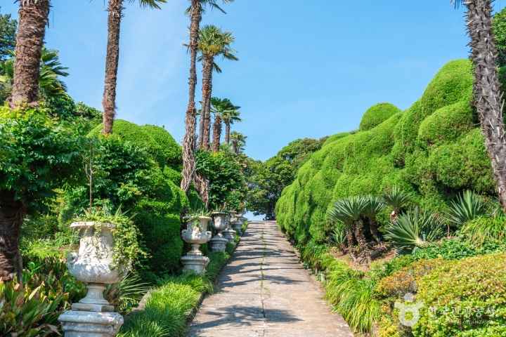 Geoje Oedo-Botania