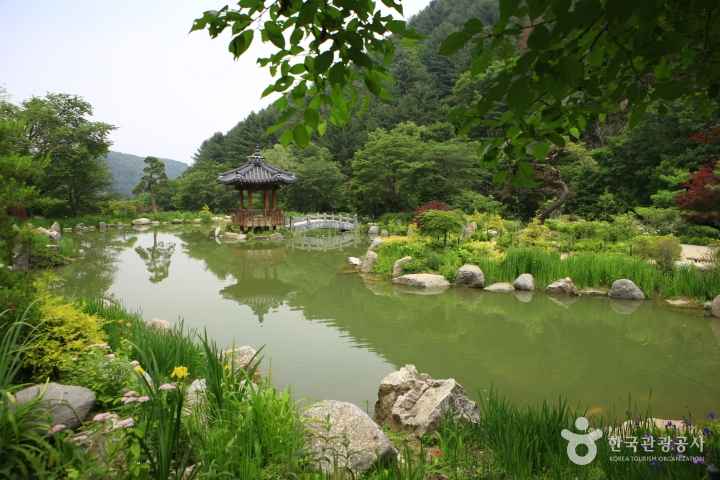 The Garden of Morning Calm