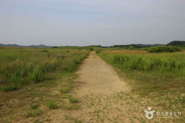 Sinduri sand dune 