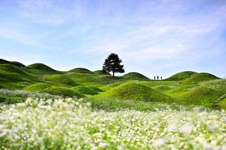 Ancient Tombs in July
