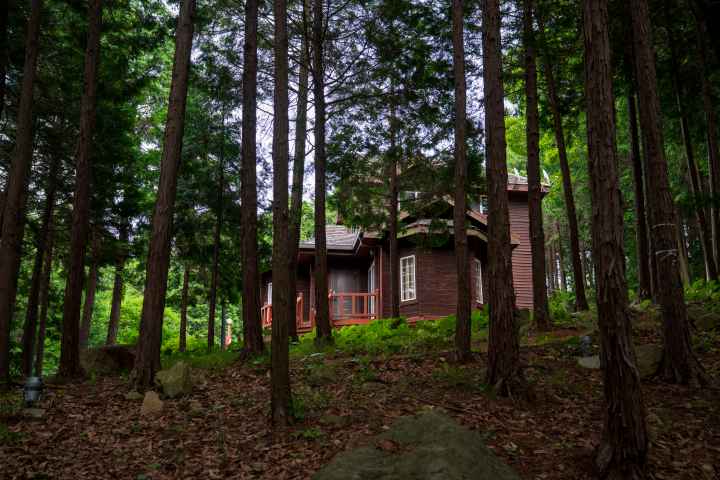 정남진 편백숲 우드랜드