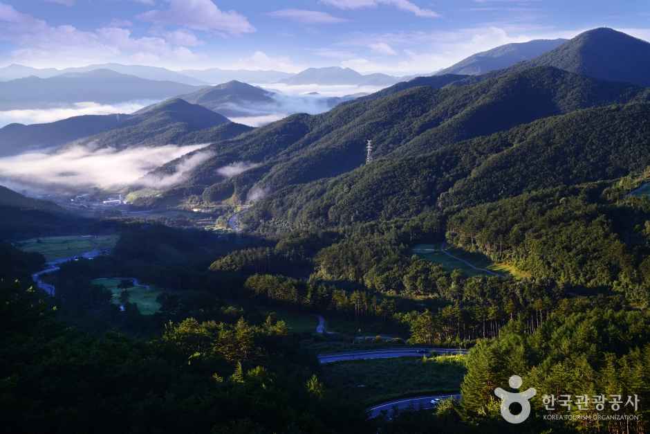 태백산 국립공원