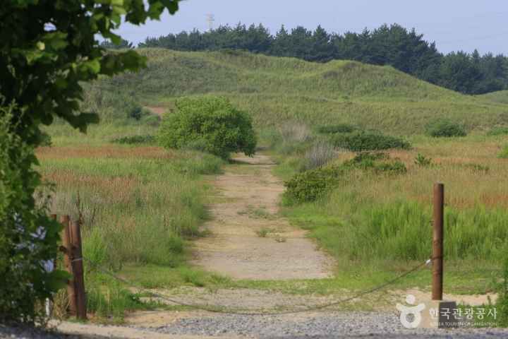 Sinduri sand dune 