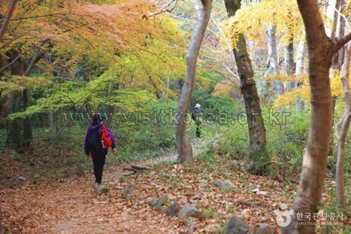 Mt. Naejangsan in Autumn 