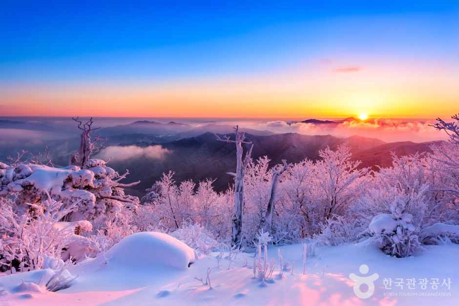 Beautiful Snowscape of Korea
