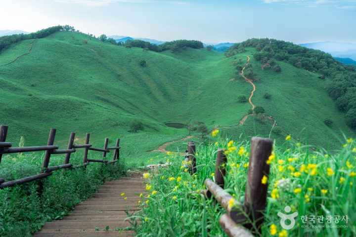 민둥산