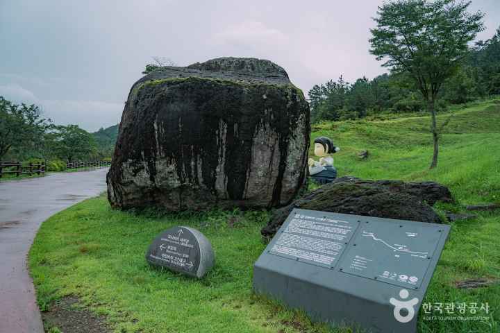 화순 고인돌 유적지