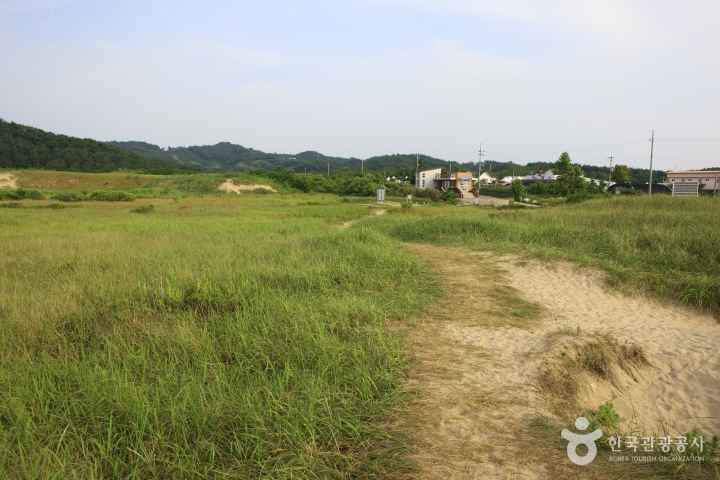 Sinduri sand dune 