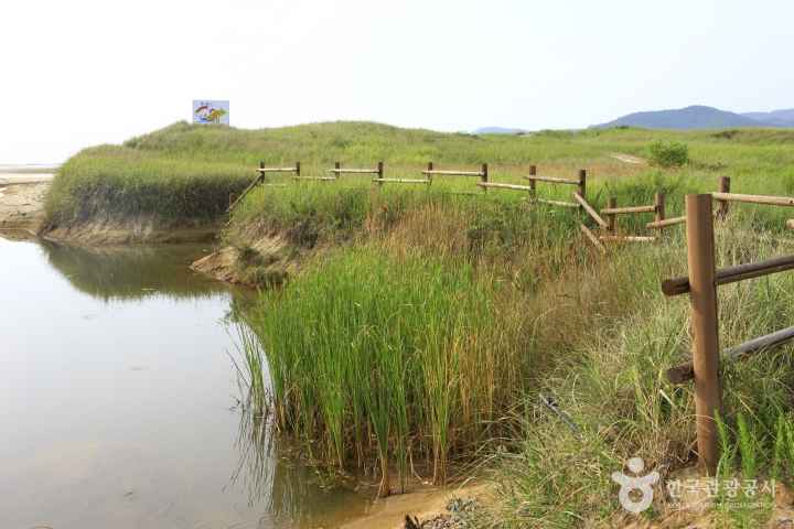 Sinduri sand dune 