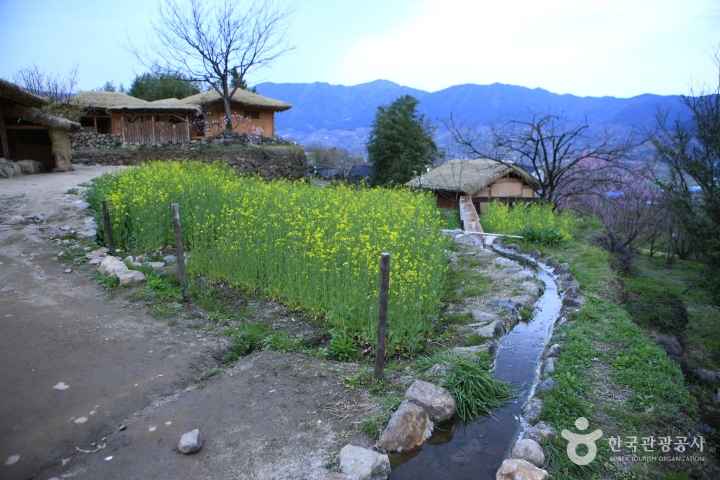 a Background site of Novel 'Land'