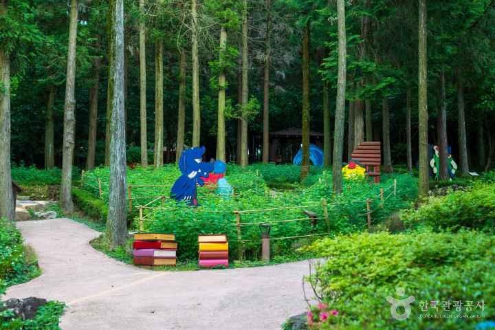 Jeongnamjin Cypress Forest Woodland