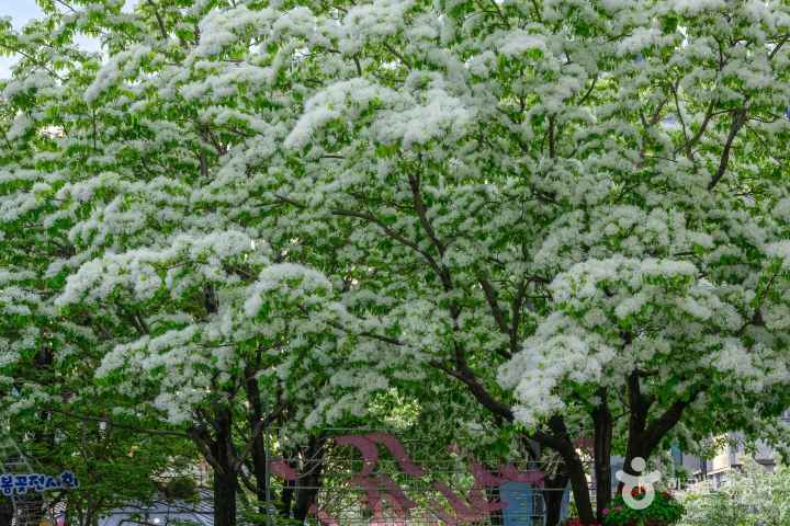 Yuseong Hot Springs Park