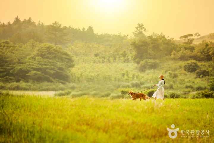 Andol Oreum Secret Forest