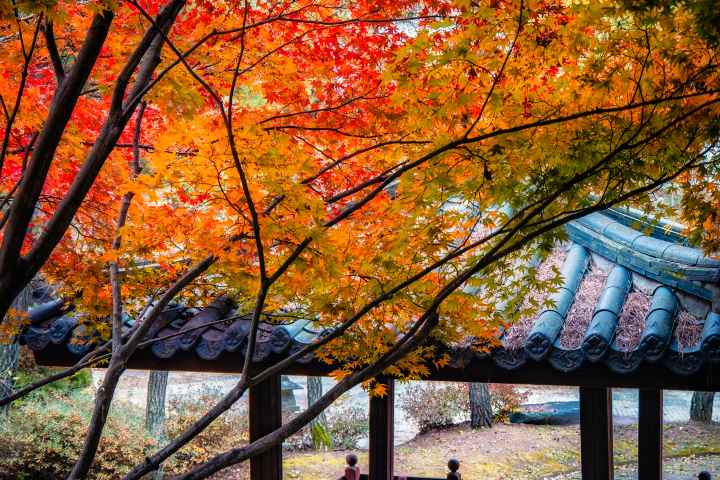 Sejong Biamsa Temple