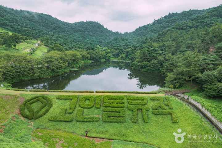 화순 고인돌 유적지