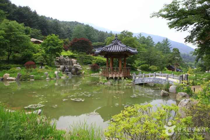 The Garden of Morning Calm