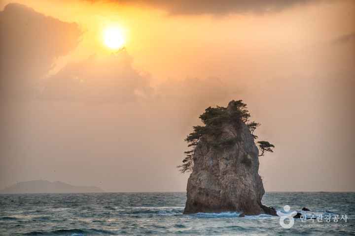 꽃지해수욕장