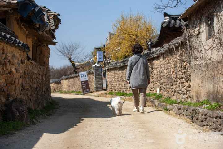 담양 창평 삼지내마을