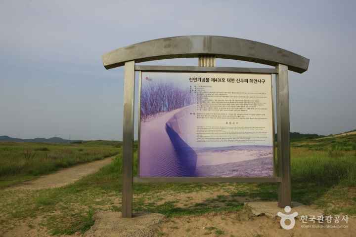 Sinduri sand dune 
