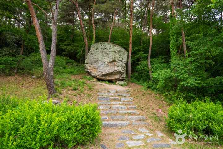 운곡람사르습지