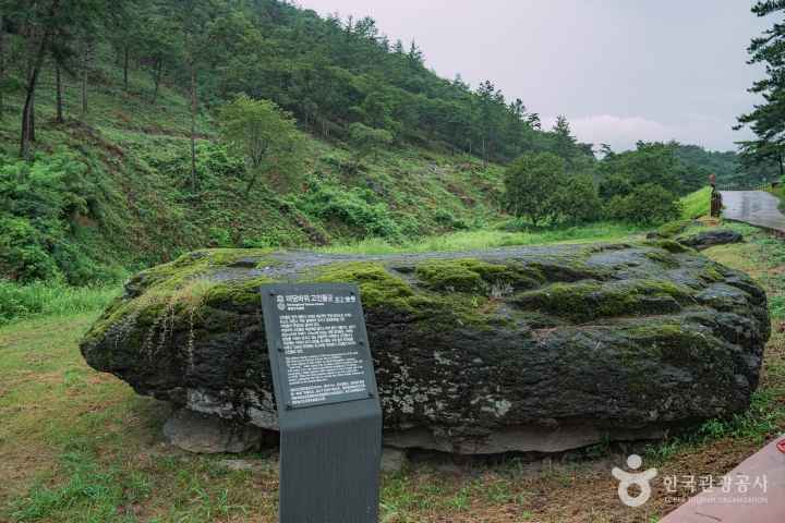 화순 고인돌 유적지