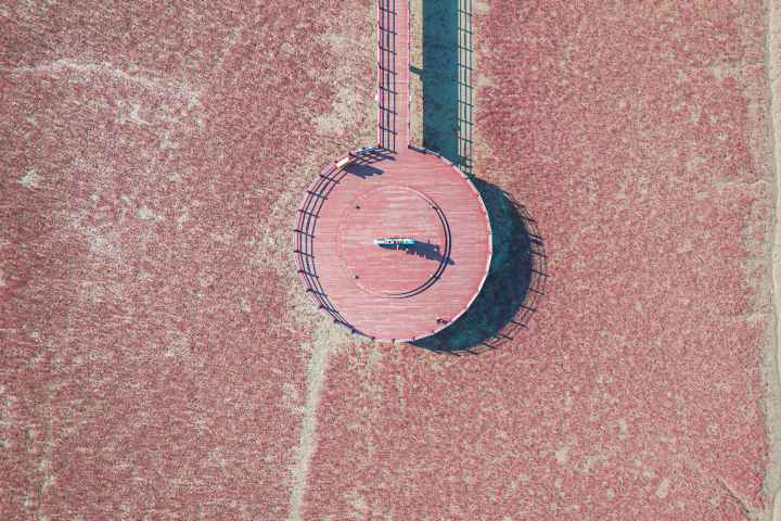 석모도 칠면초 군락지