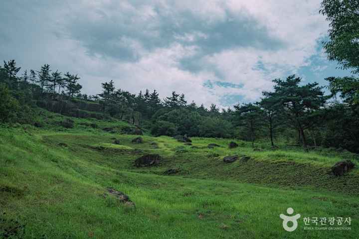 화순 고인돌 유적지