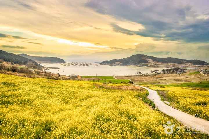Cheongsando Island
