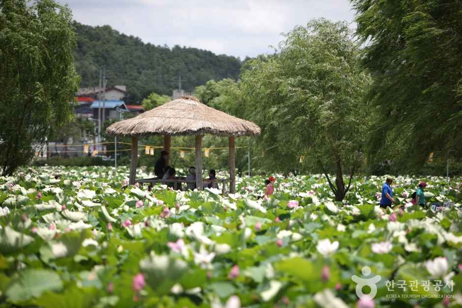 Gungnamji Pond