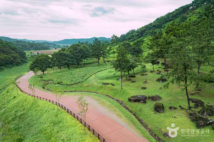 화순 고인돌 유적지