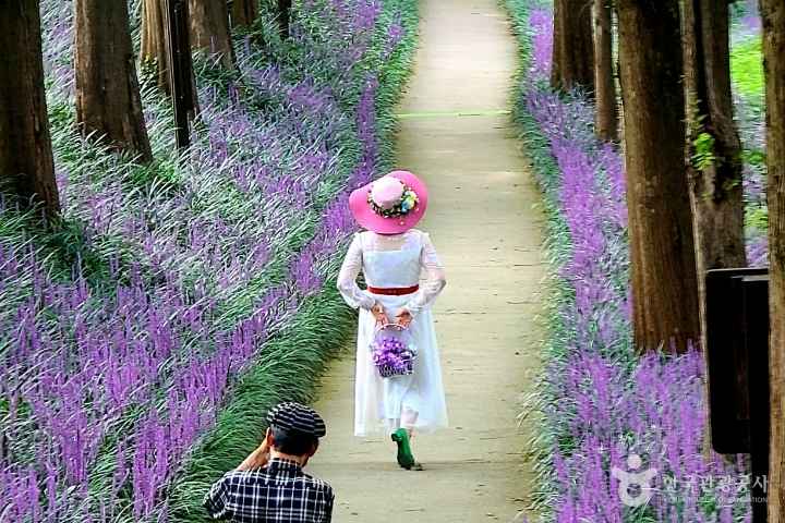 On a Floral Path
