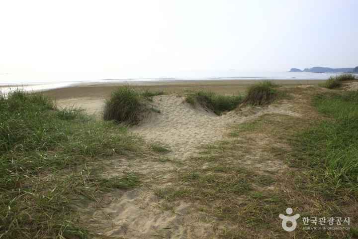 Sinduri sand dune 