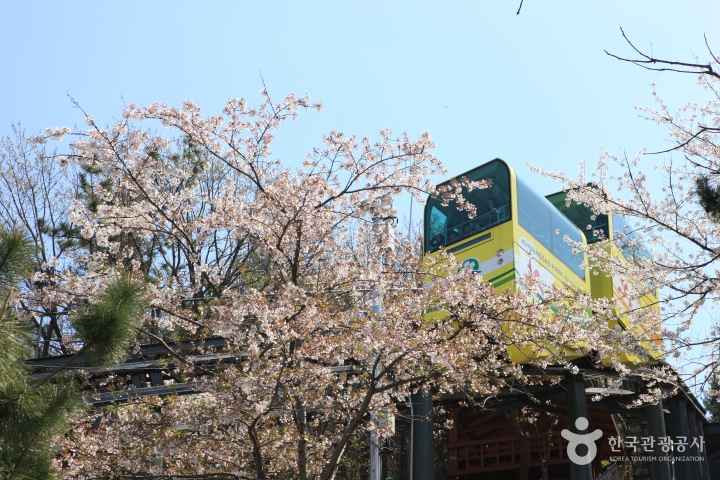 제황산공원 모노레일카