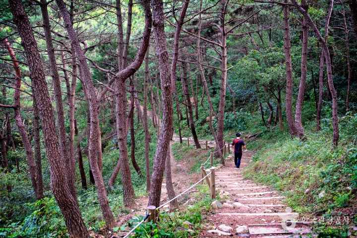 Hwangnyeongsan Trail