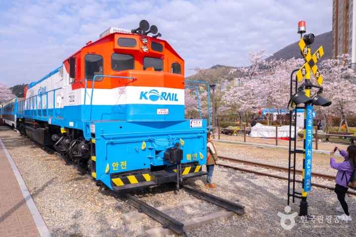 2024 진해군항제