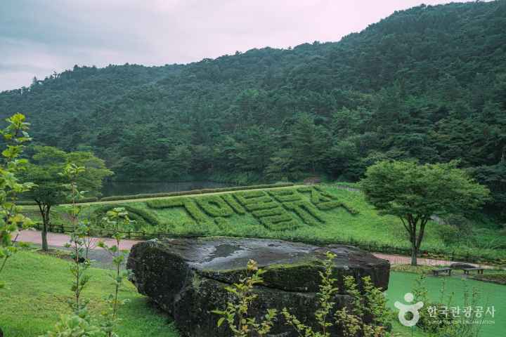 화순 고인돌 유적지