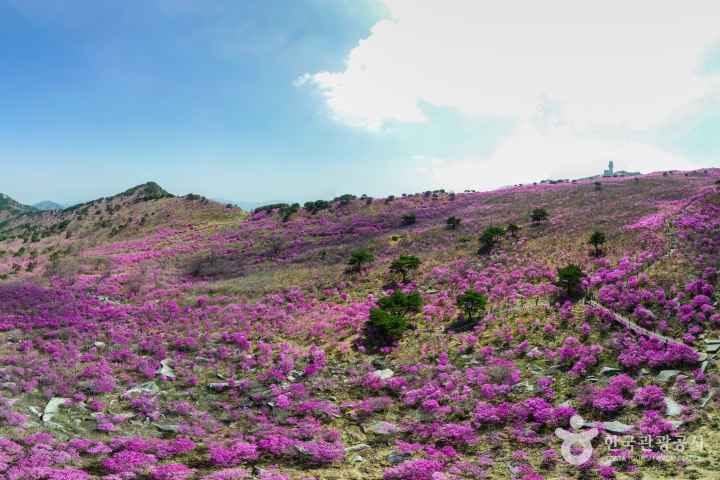 비슬산
