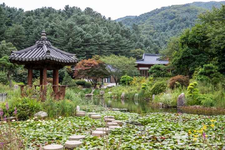 The Garden of Morning Calm