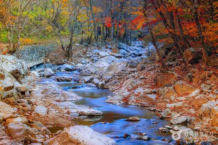 Micheongol Recreational Forest