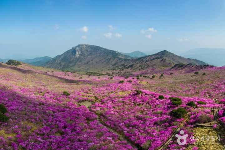 비슬산
